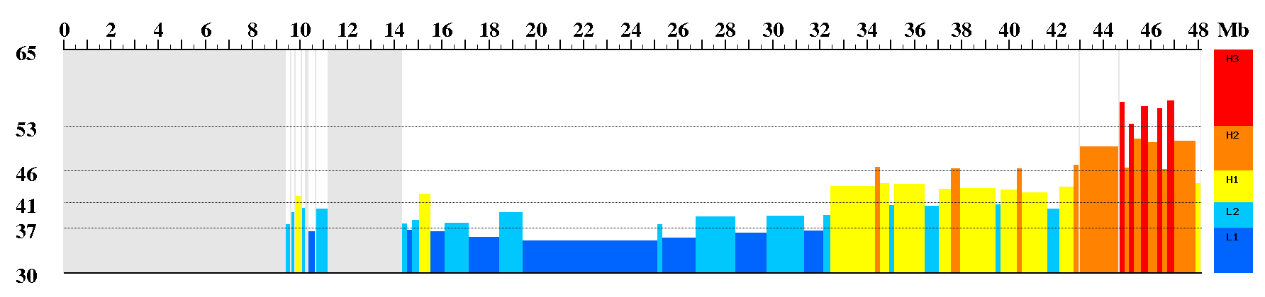 chr21.isochores