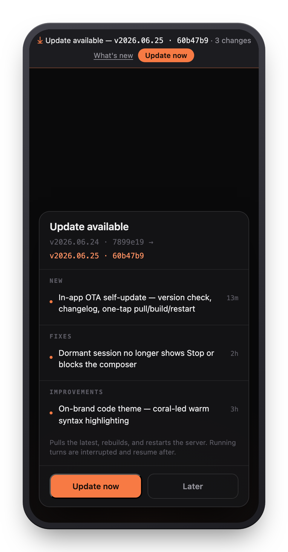 The in-app update banner and changelog panel — version, grouped changes (New / Fixes / Improvements), and a one-tap Update now
