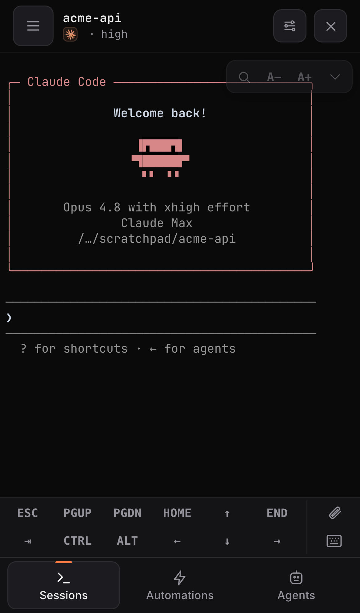 A fresh Claude Code session opening in the terminal on a phone — the real TUI's welcome screen