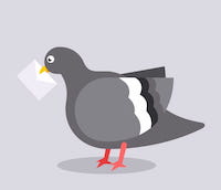 Postman Pigeon