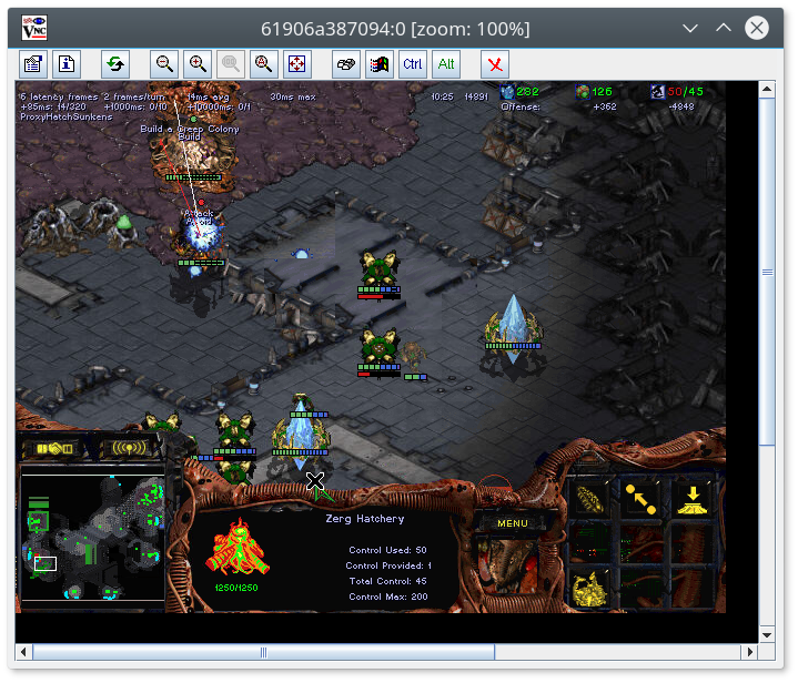 Starcraft playing on Linux