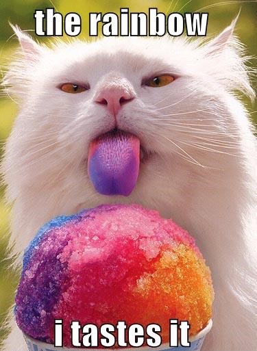 GitHub - busyloop/lolcat: Rainbows and unicorns!