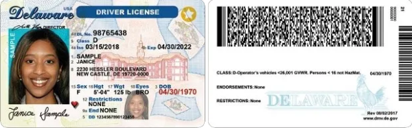 AAMVA ID Card Sample.