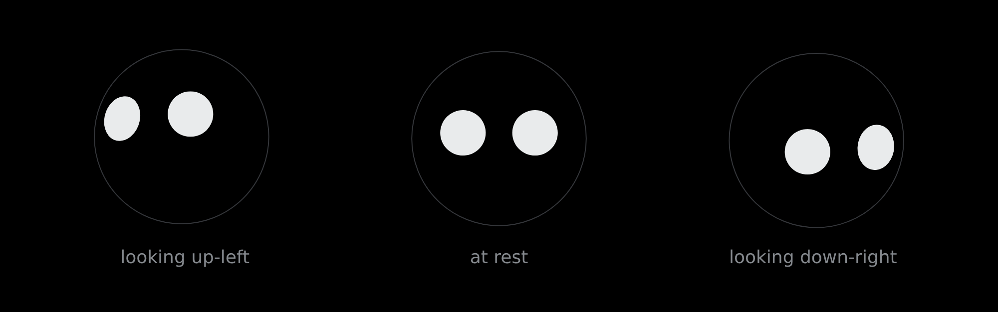 The same face looking up-left, at rest, and down-right — the far eye foreshortens into an ellipse while the near one stays round