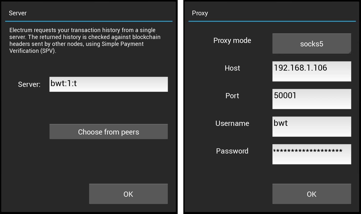 Setting up Electrum mobile with authentication