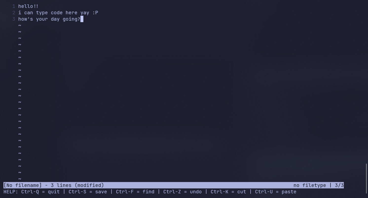 Scribere Code Editor view