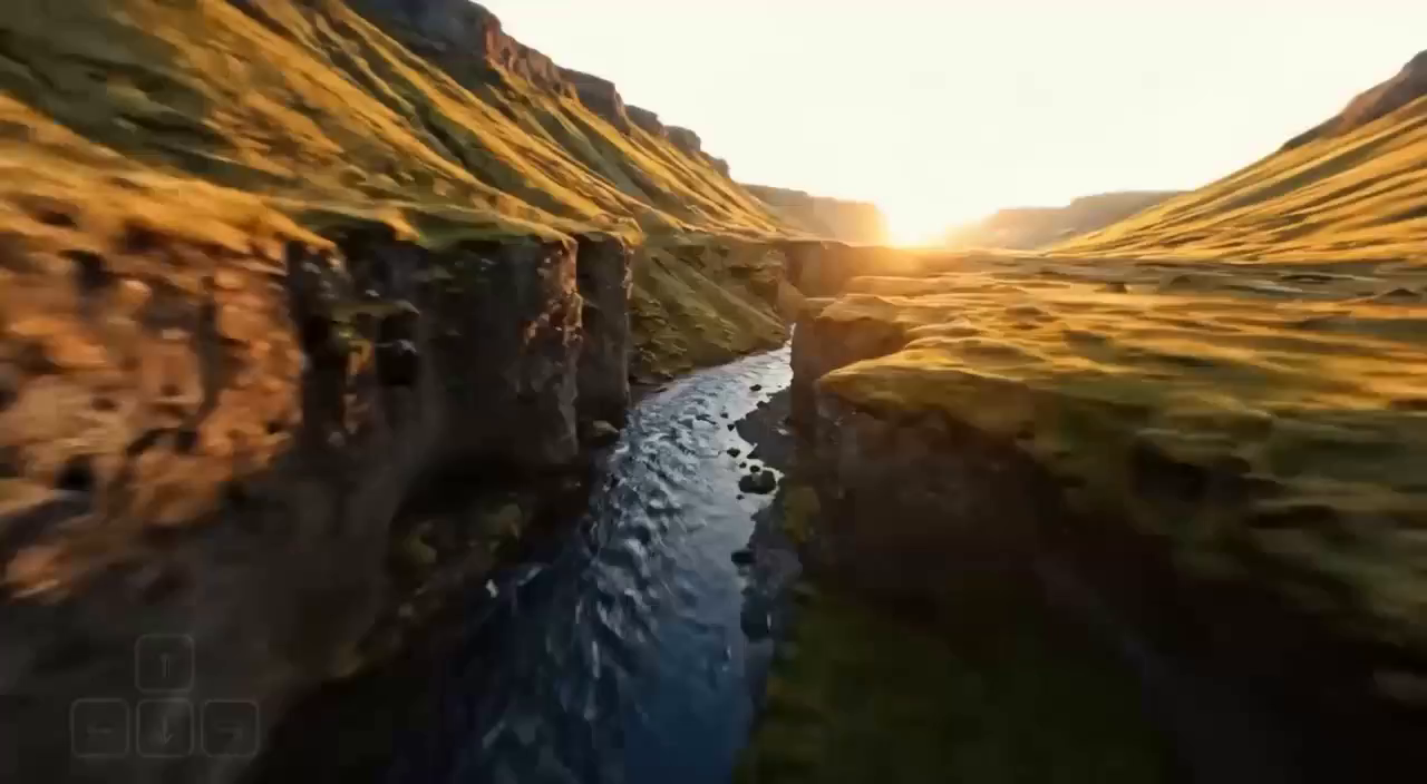 Motion Transfer Image