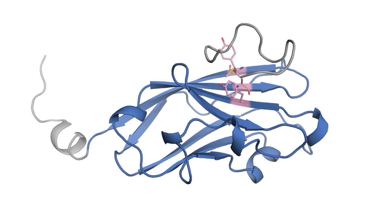 PyMOL visualization