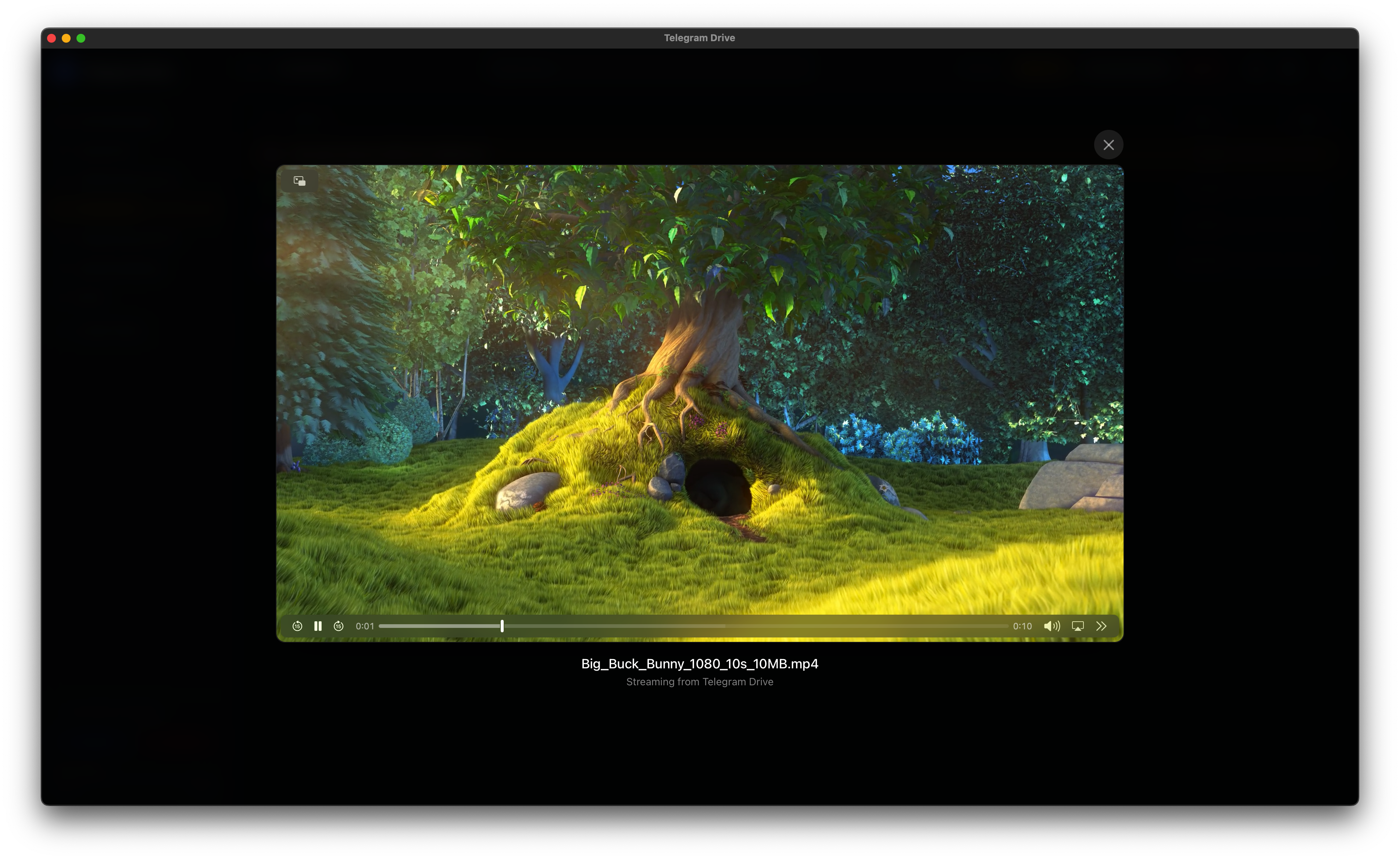 Phát video trực tiếp