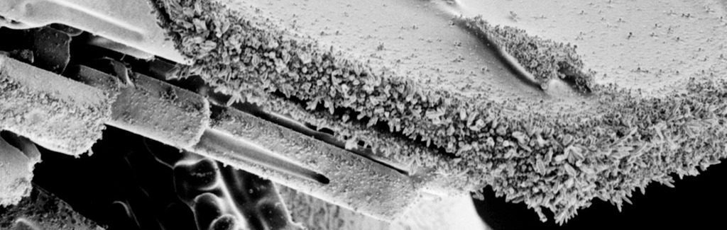 Rimed hexagonal snow crystal under electron microscope