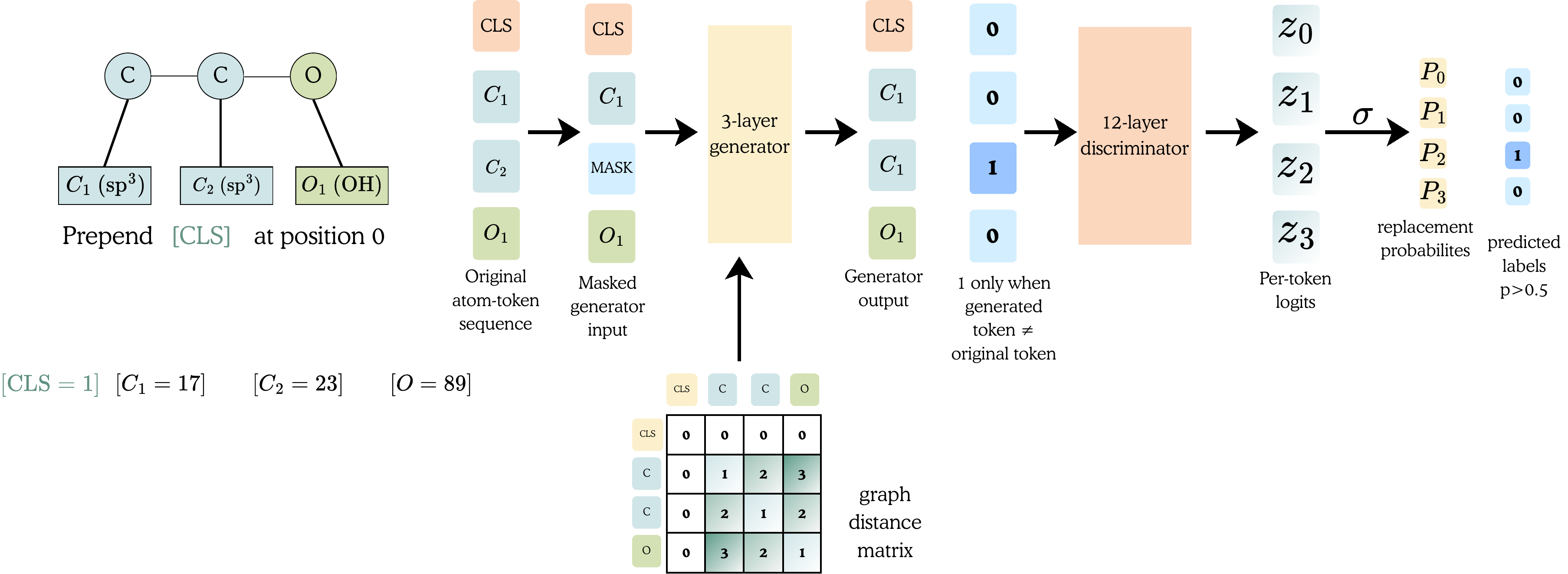 GRASP graph replaced-token detection architecture: atom tokens, generator, graph distances, and discriminator
