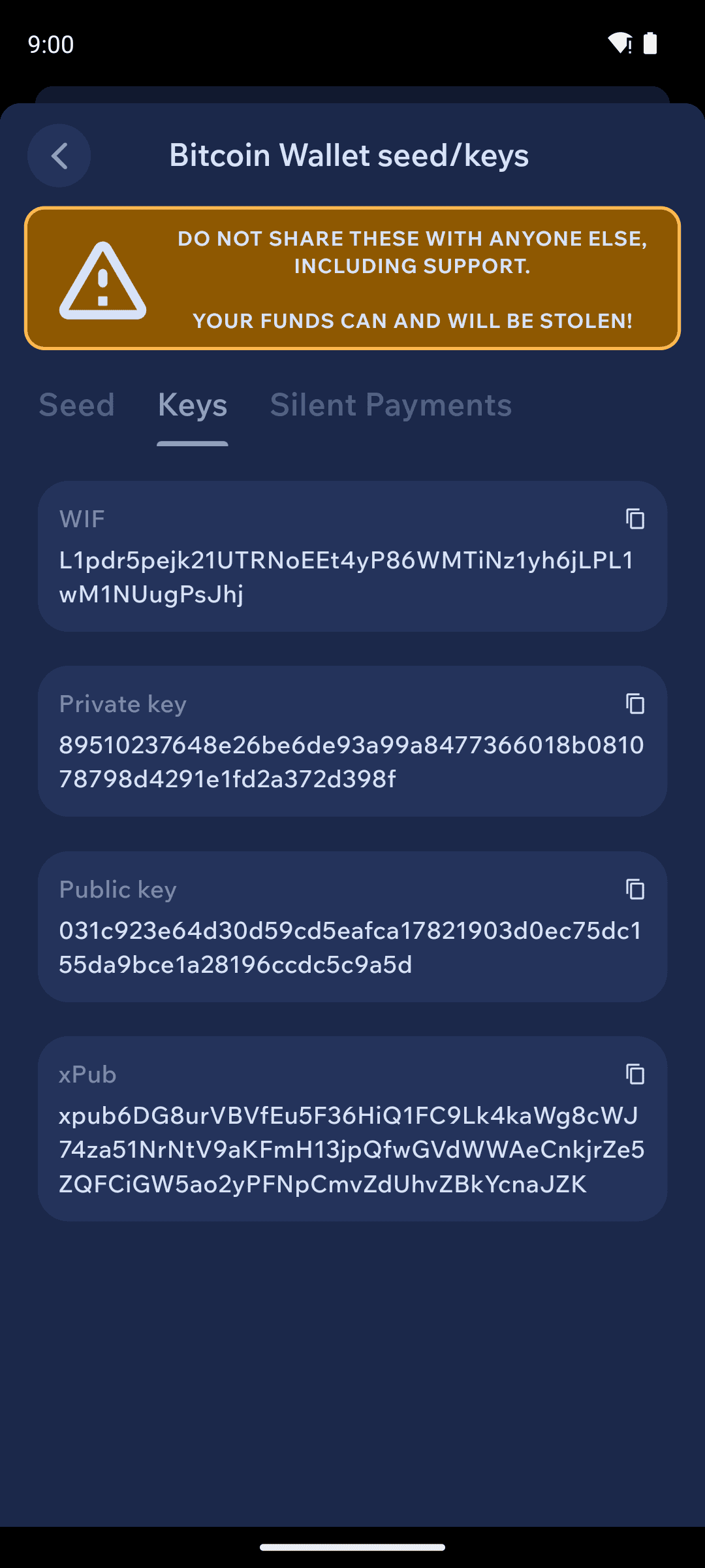 Keys tab of the Seed & Keys screen showing the wallet's keys