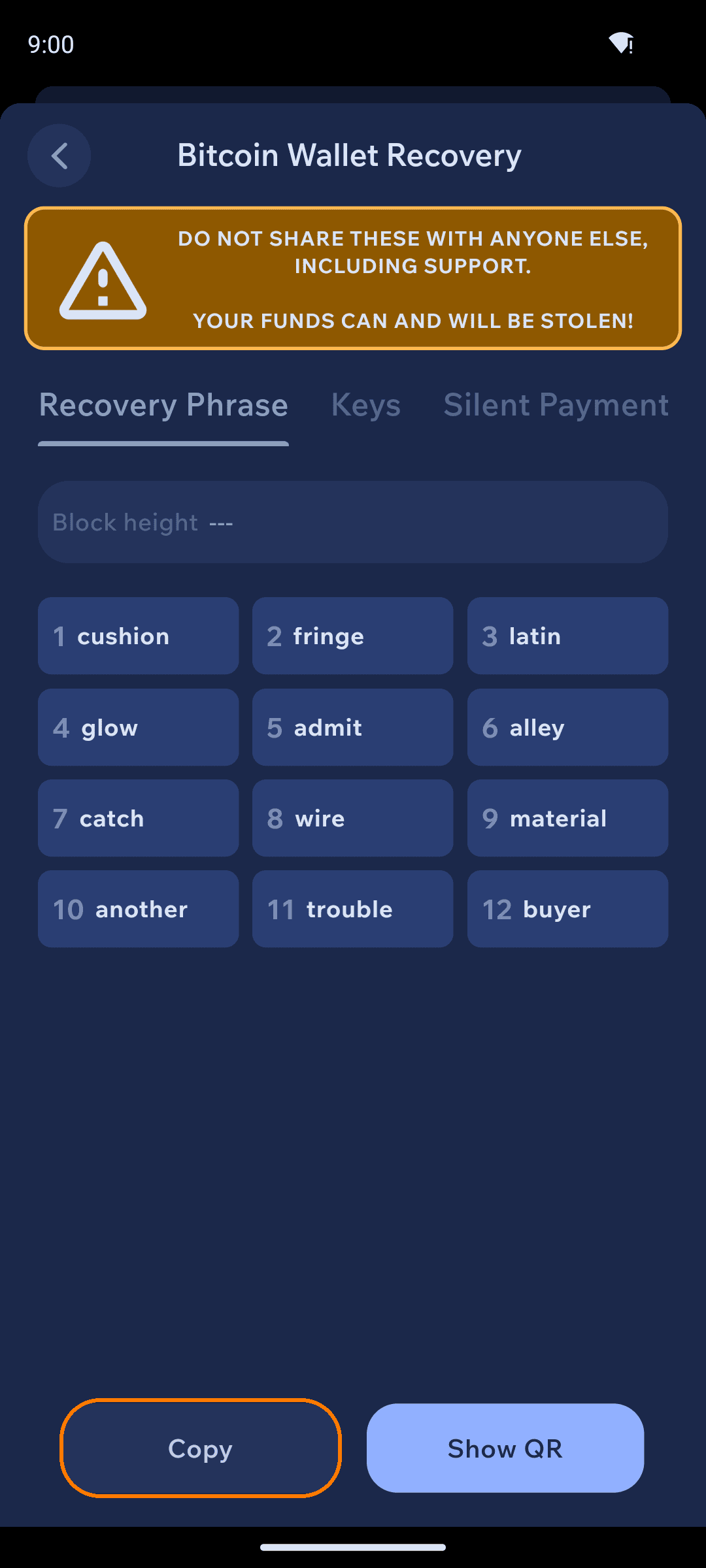 Recovery Phrase tab showing the numbered words with Copy and Show QR buttons