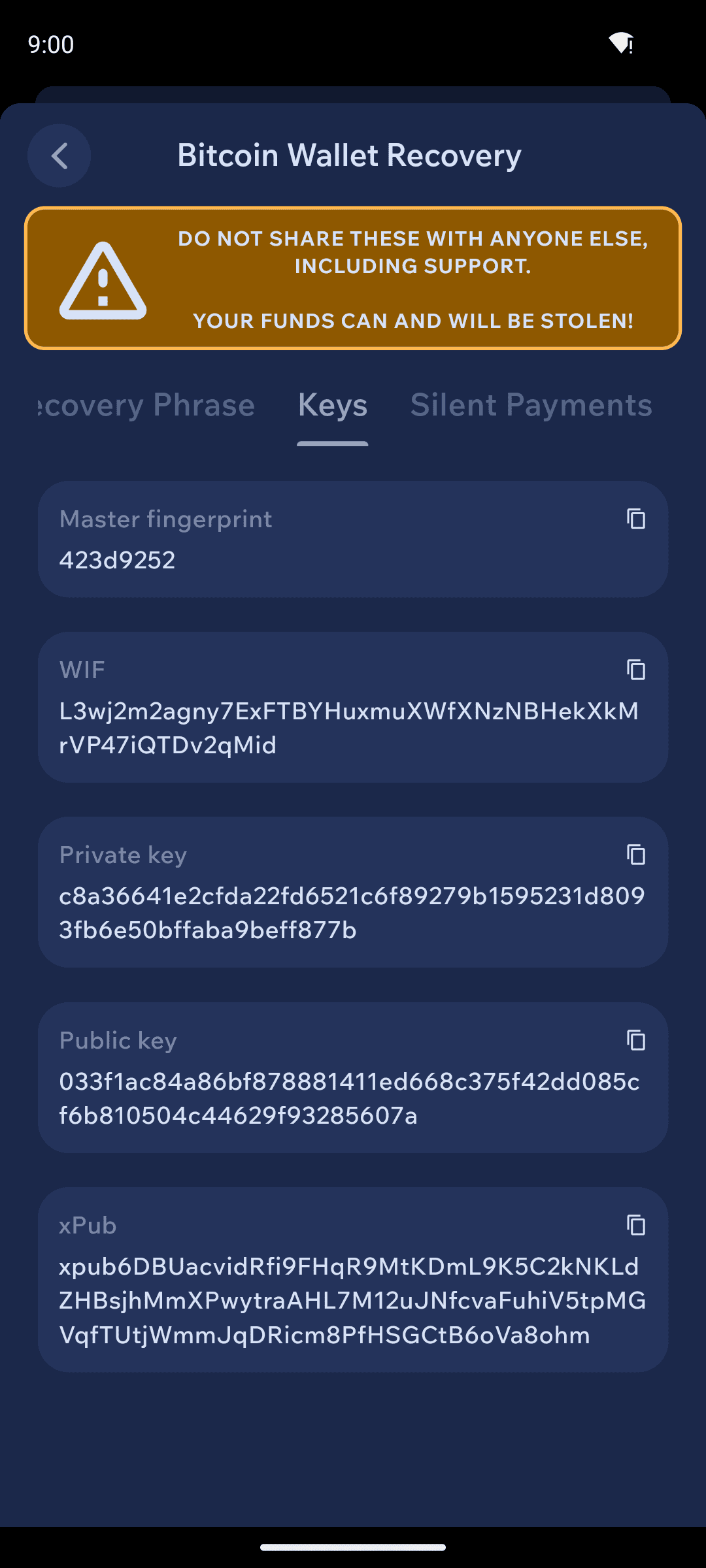 Keys tab showing the wallet's keys