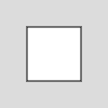 a square centered in the 100x100px canvas with its upper left corner at (25, 25)