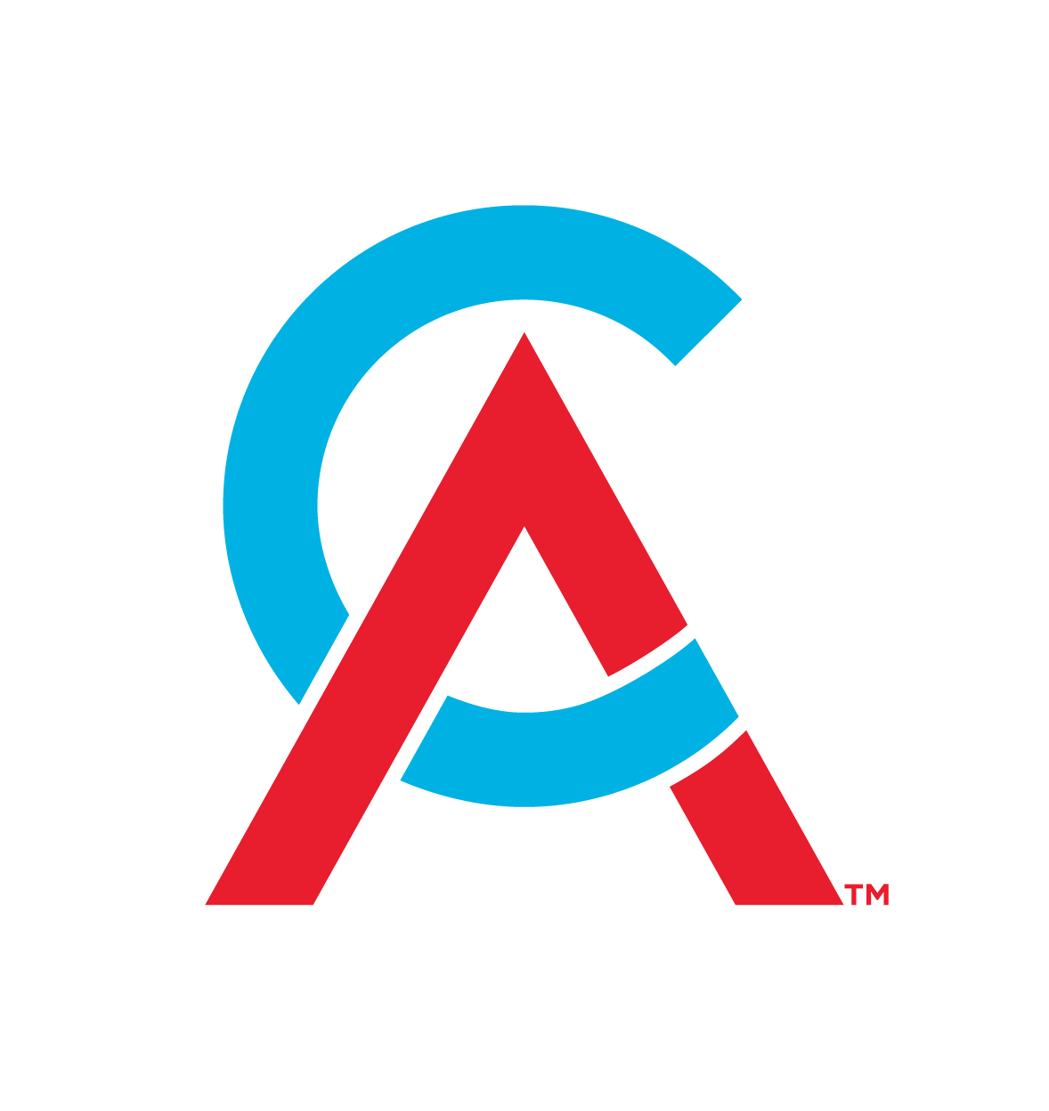 Chartered Accountants Australia and New Zealand Library Catalogue