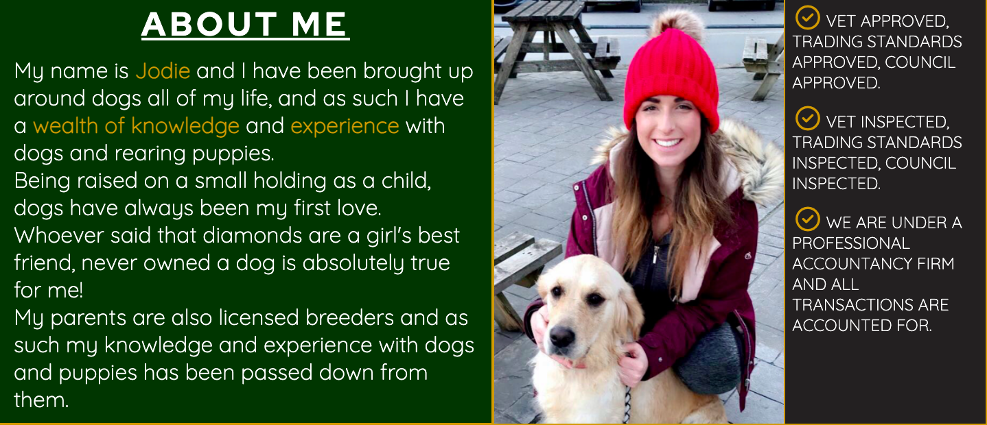 Screenshot of the about me section which includes a photo of Jodie with a Golden Retriever, the About Me text and a list of Jodie's certifications