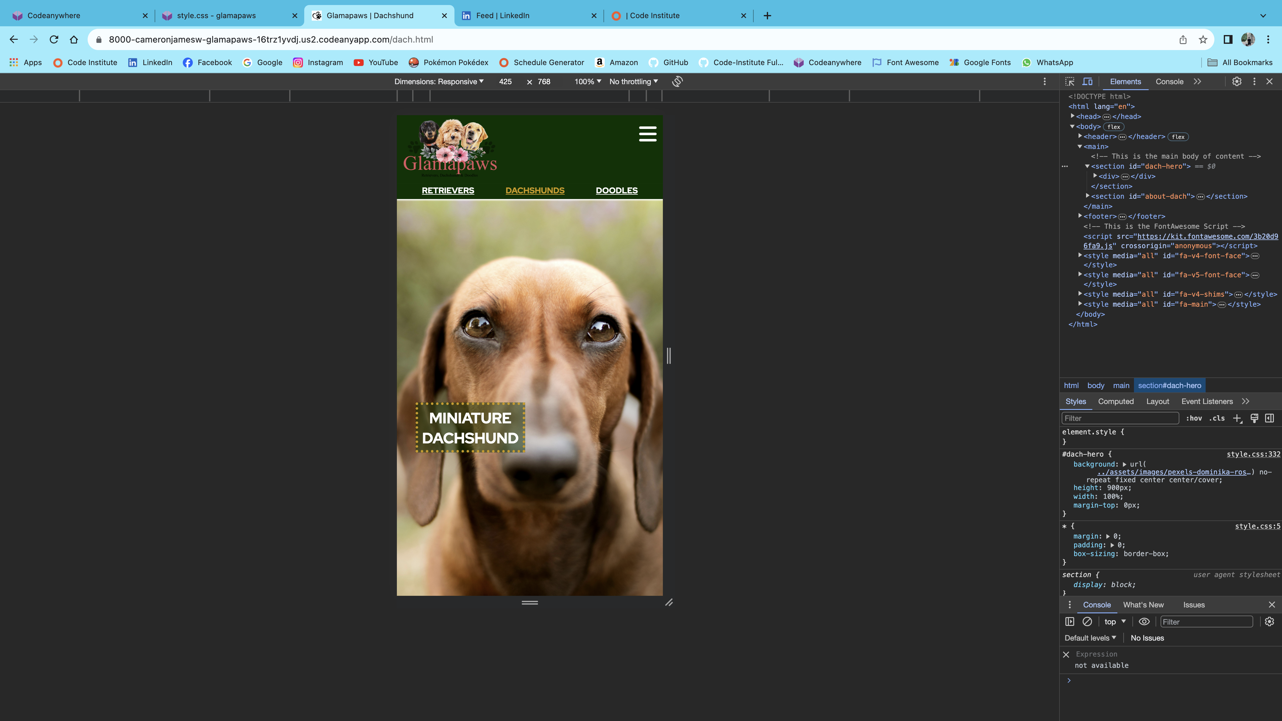 Screenshot of the same image listed aboe but through the view of Google Chrome DevTools