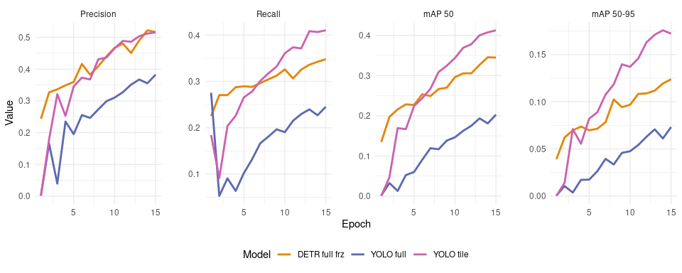 Training results - YOLO & DETR models