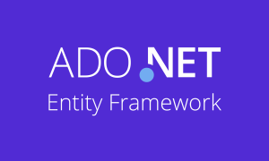 ADO.NET Entity Framework Logo