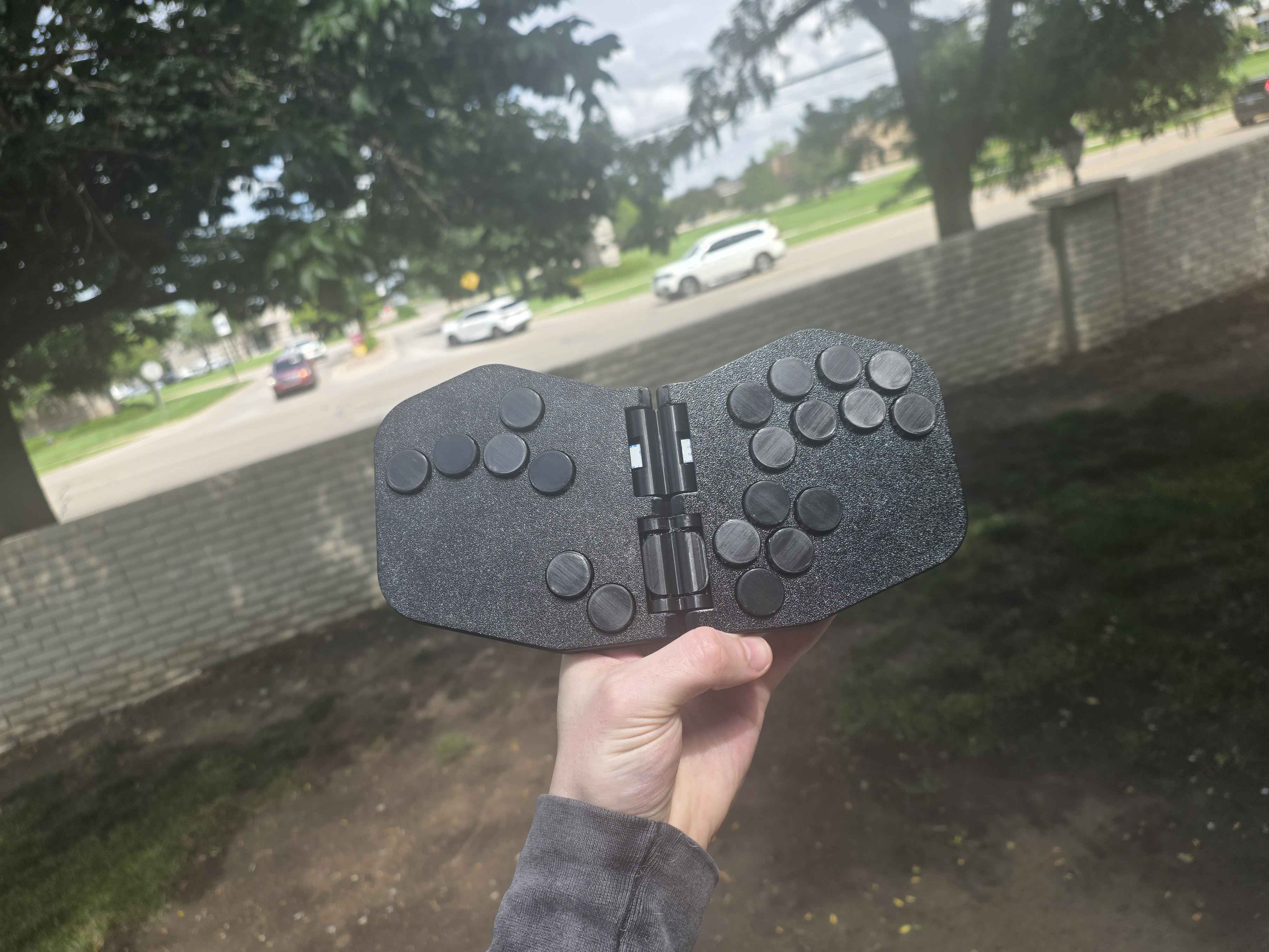 Rana-Moth-WASD, from the project README