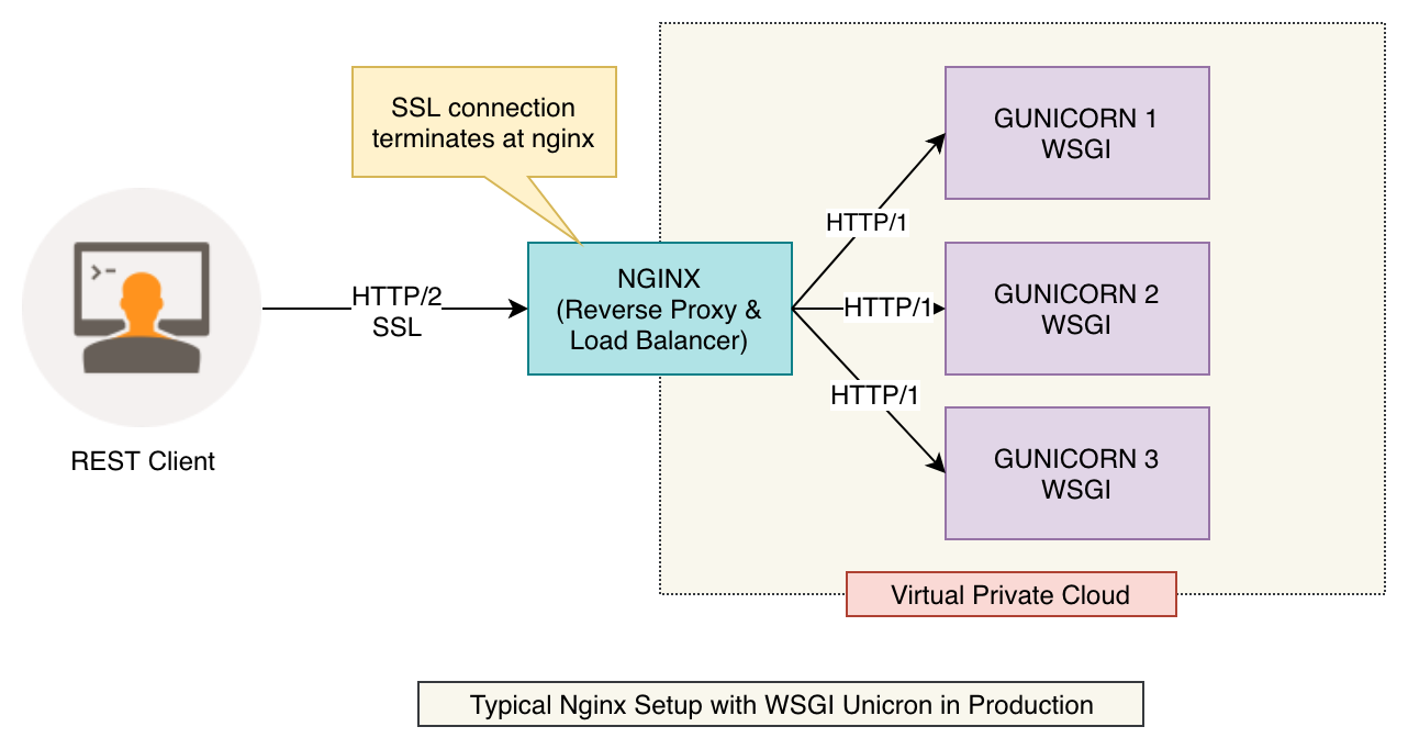 nginx reverse proxy setup