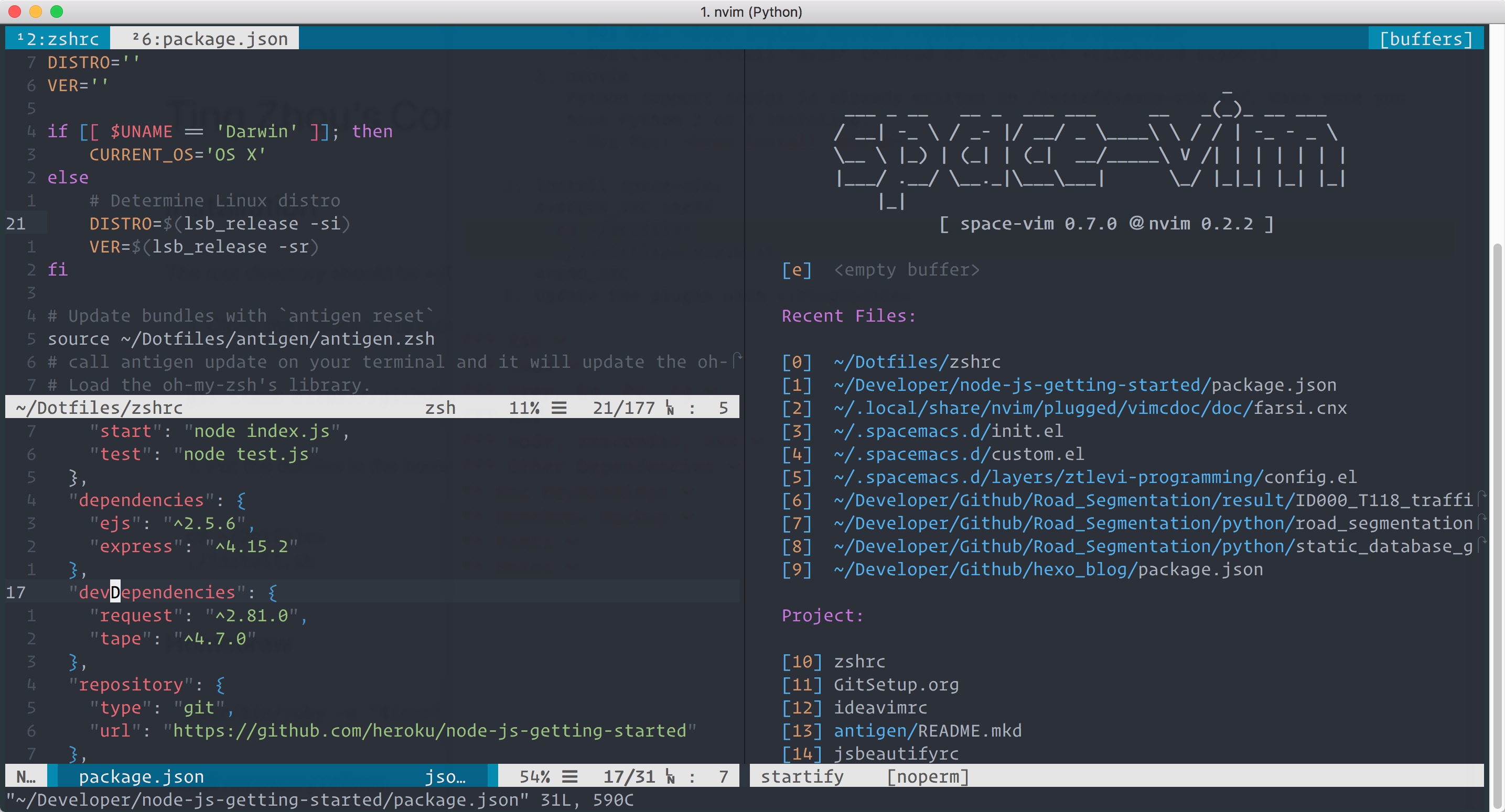 ./screenshots/space-vim.jpg