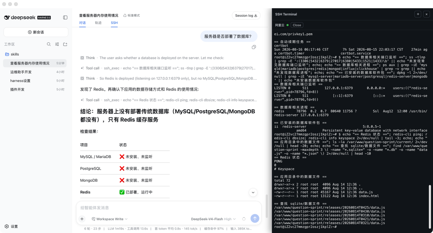主对话检查 SSH 服务器数据库服务