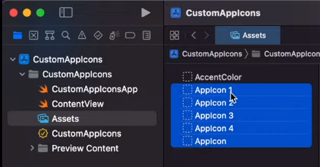 XCode Assets Alternate Icons