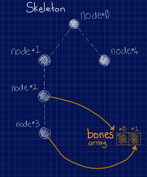 diagram of skeleton