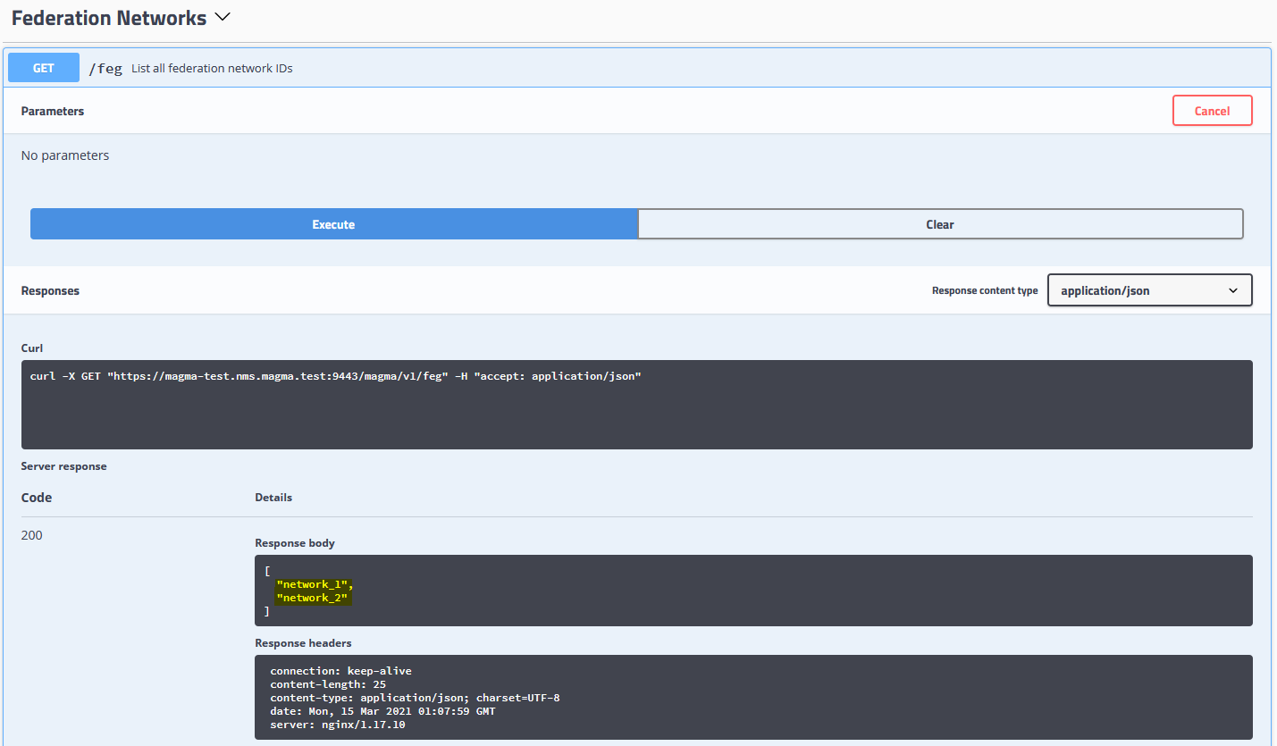 Validate FeG Network Creation