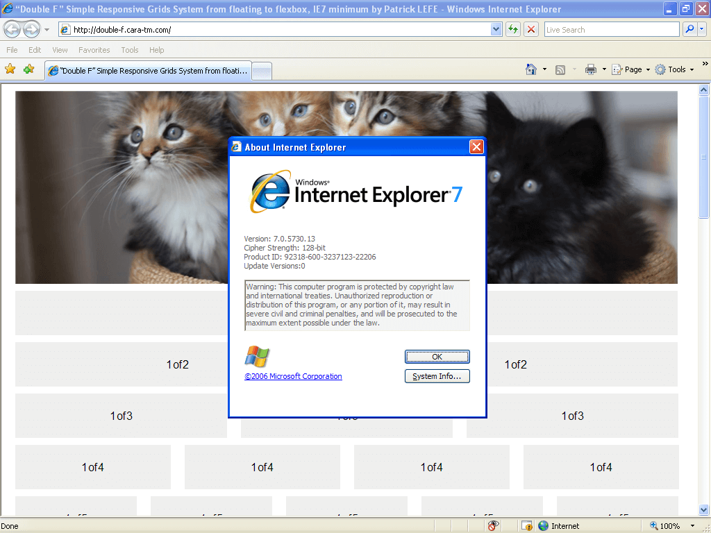IE7 preview