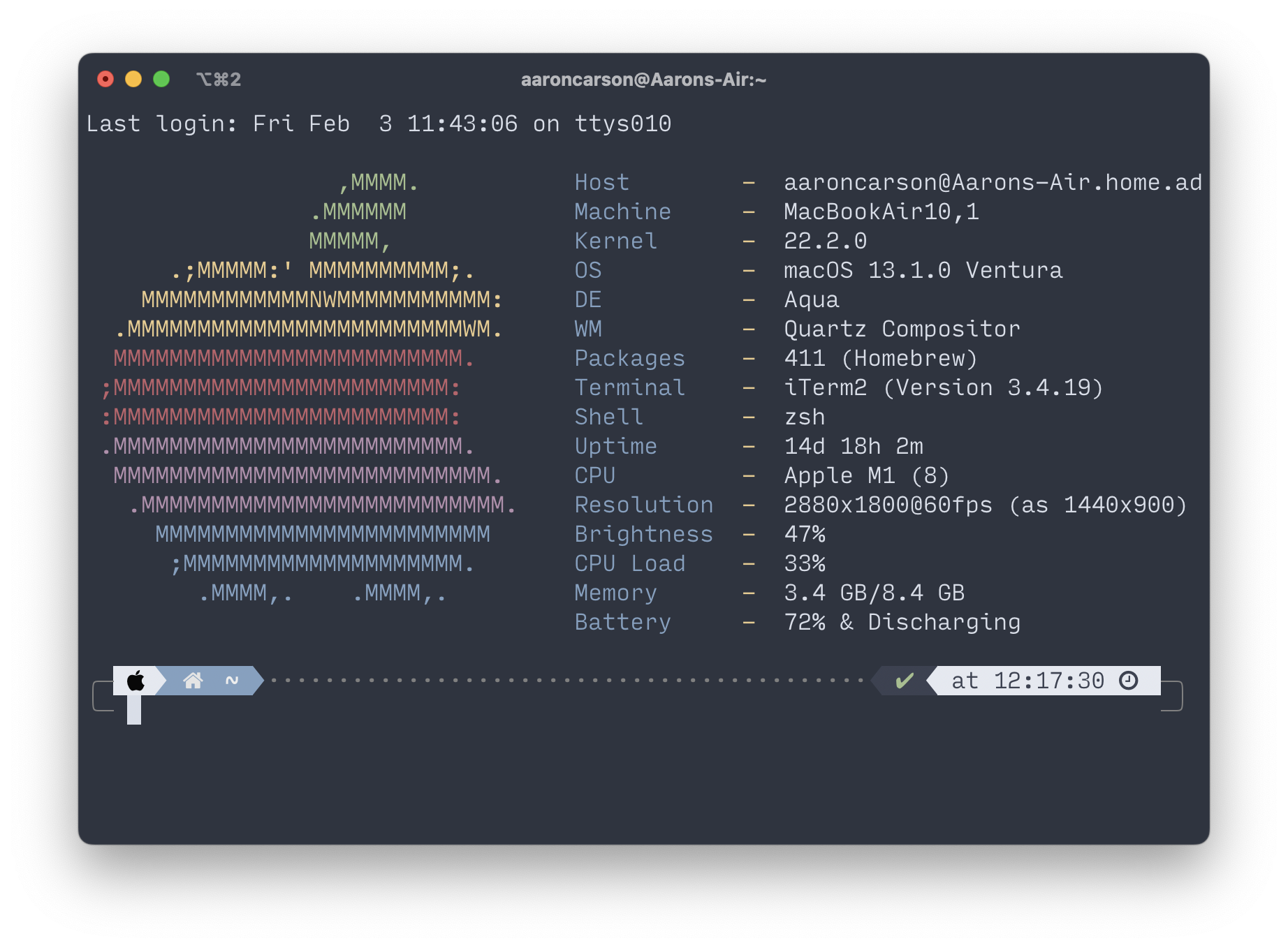 Screenshot of my terminal opening; macchina runs by default