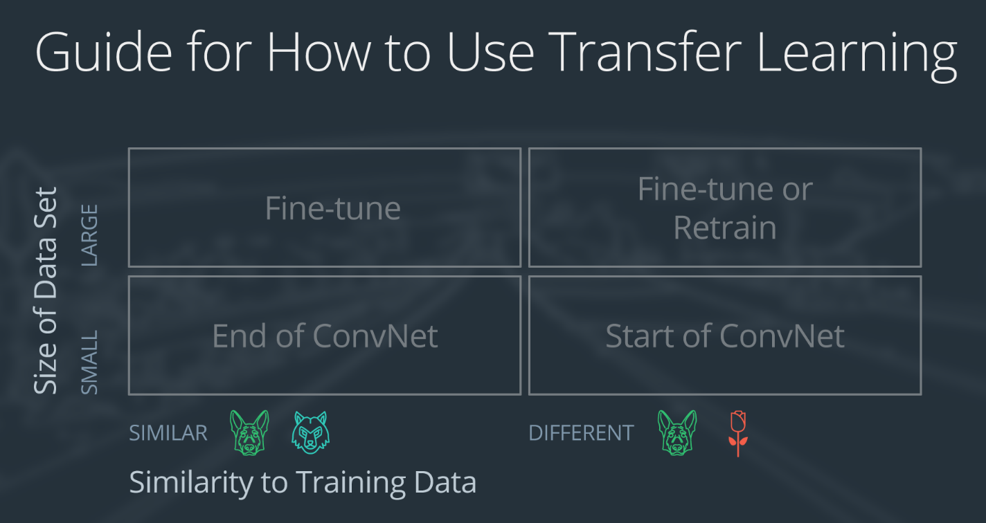 transfer learning