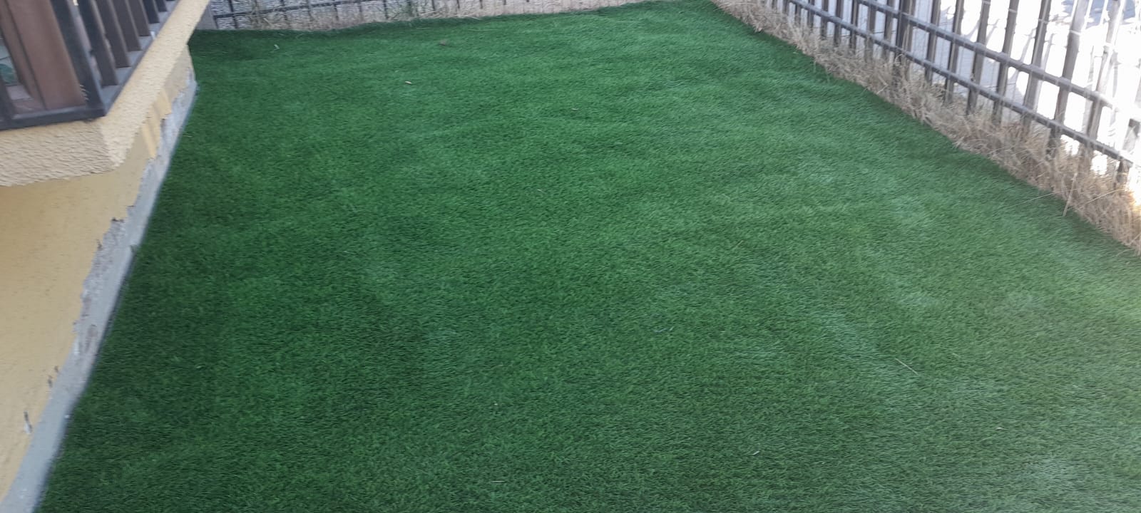 Pasto Sintético