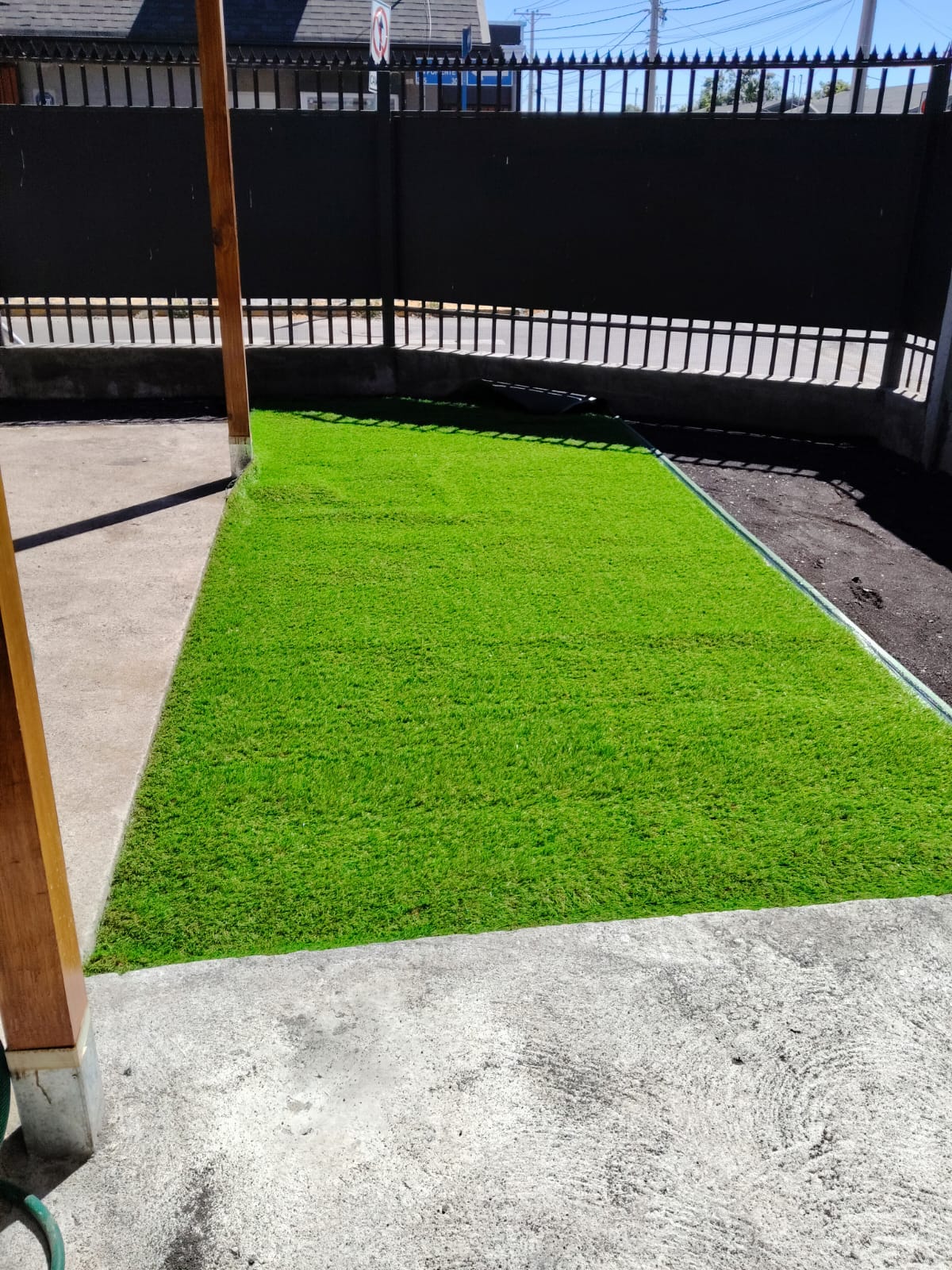 Pasto Sintético