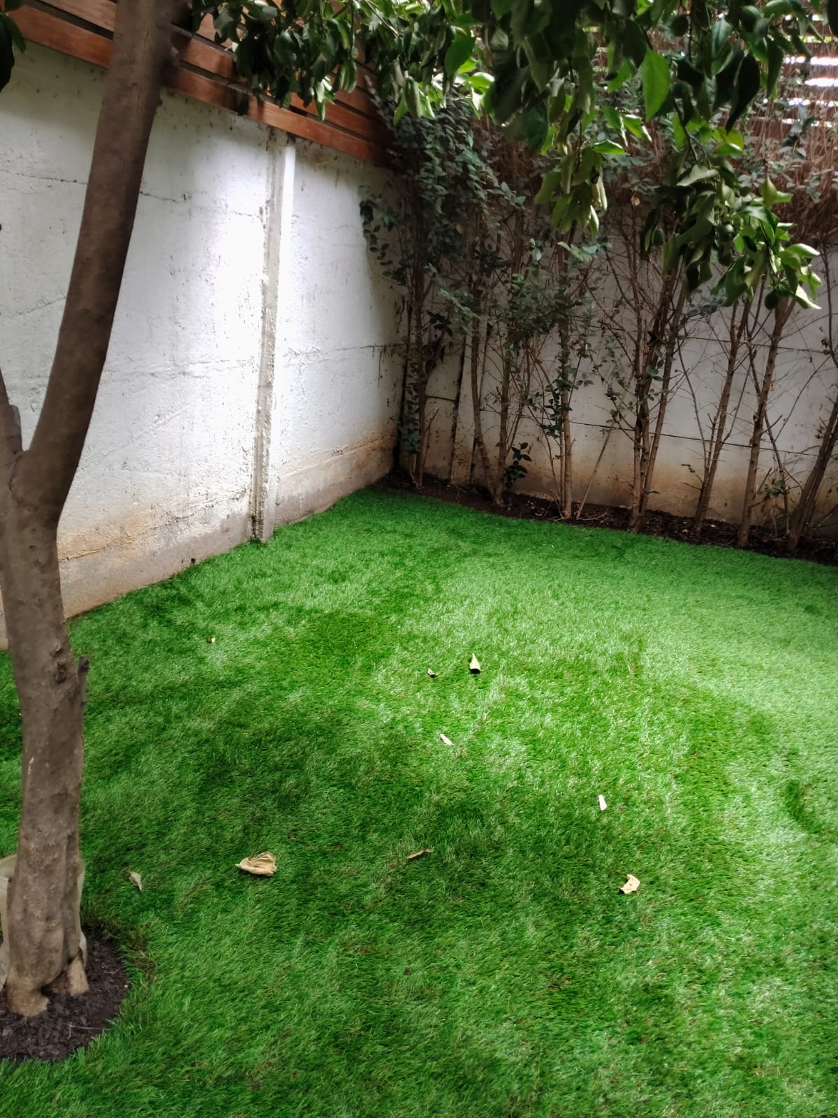 Pasto Sintético