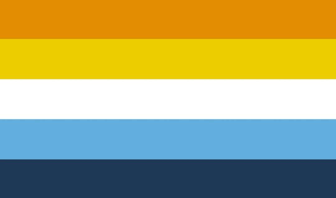 aroace flag