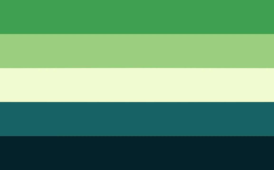 aromantic spectrum flag