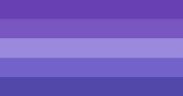 moonlight aro flag