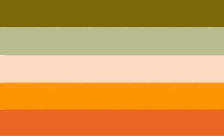 sex and romance-repulsed aroace flag