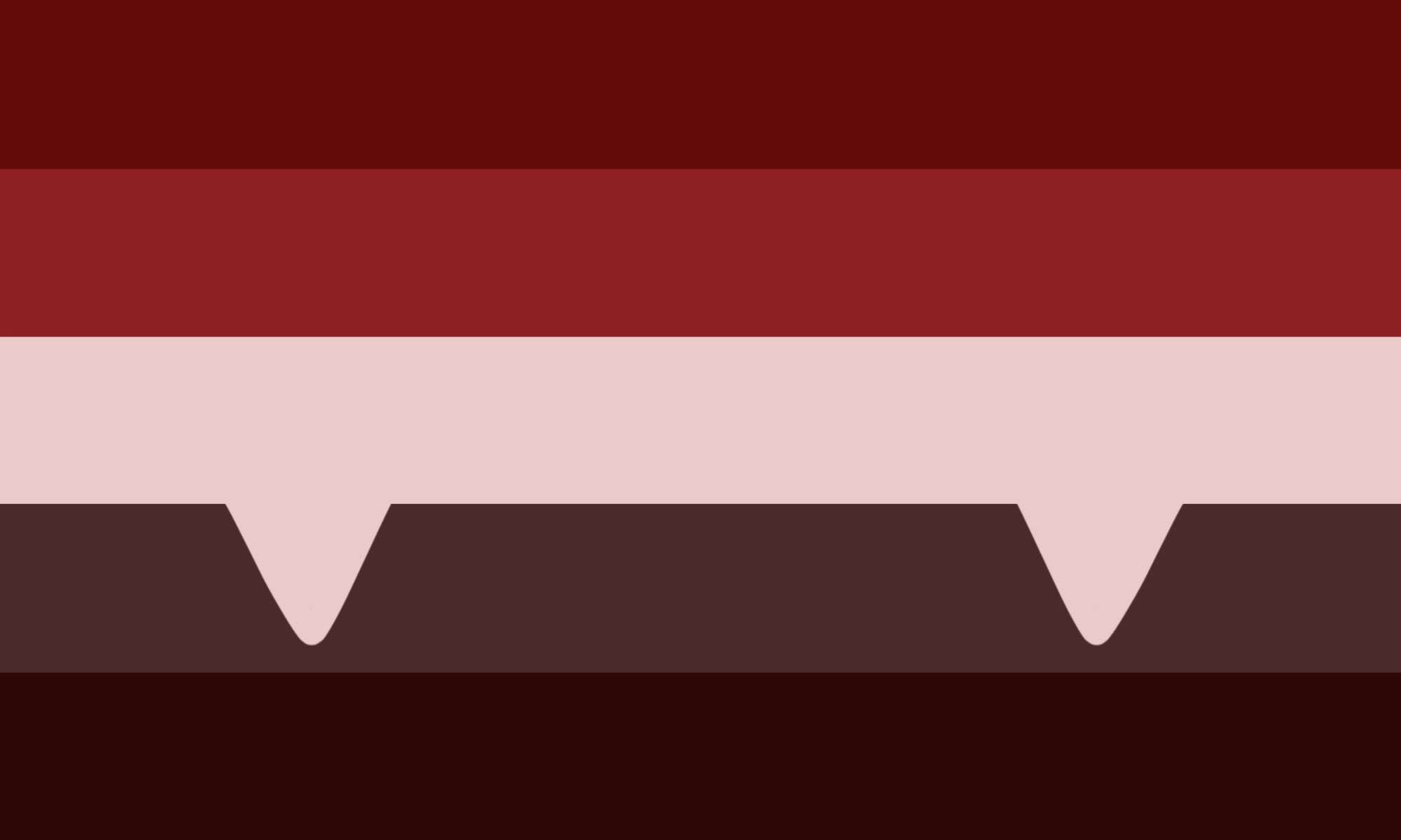 vampire aroace flag