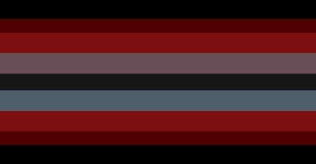 vinumgender flag