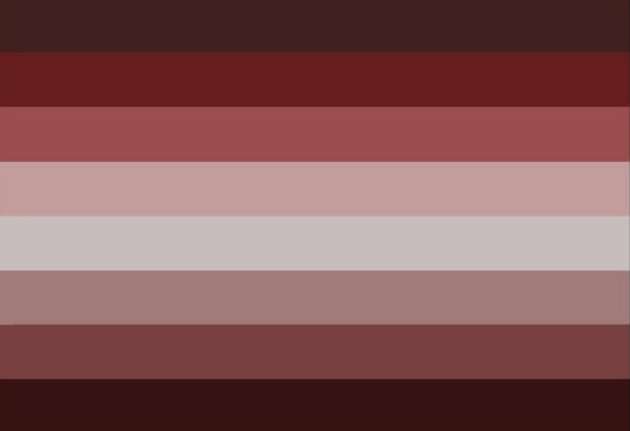 paradelusogender flag