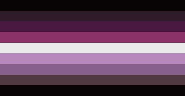 villainous transneutral flag