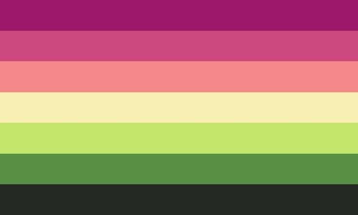 aromantic lesbian flag