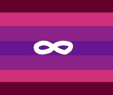 evil, autistic, phys disabled, trans, lesbian flag