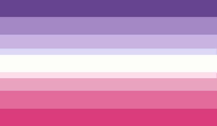 fem and masc lesbian flag