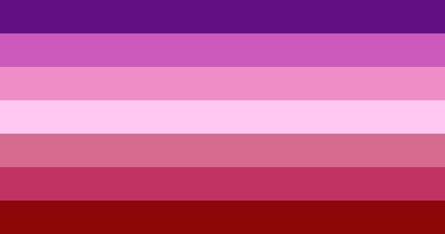 nice, man-hating lesbian flag