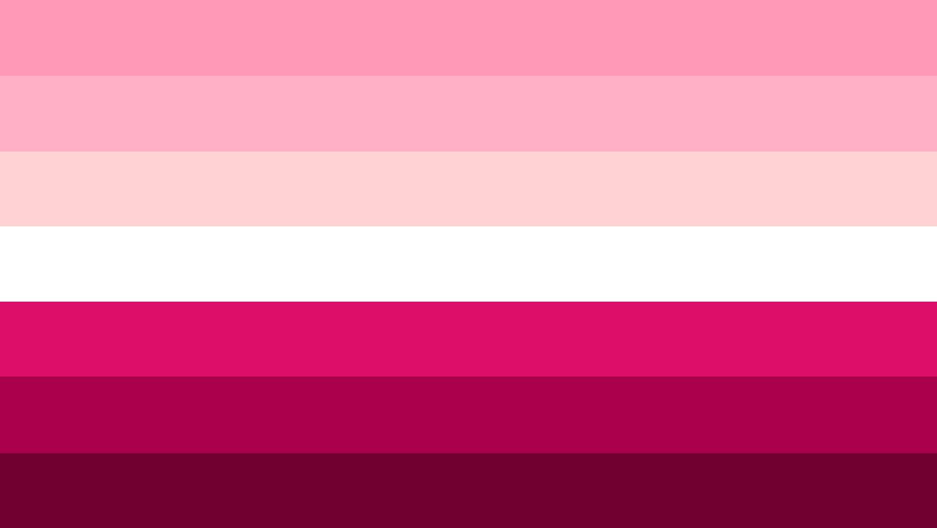 nice, mean lesbian flag